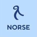 Norse Atlantic Airlines